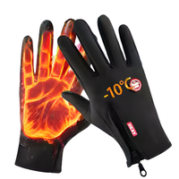 Thermal Winter Gloves